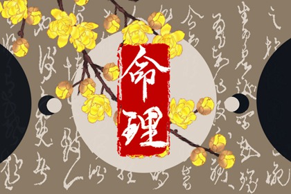 八字命运测算 十神测算 分析生辰八字 命八字阴阳 男女算八字