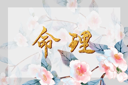 天机紫微斗数排盘|测紫薇命盘|命盘分析免费|热卜紫微斗数排盘