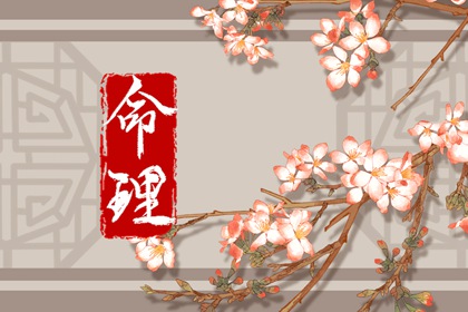 真命八字_知运八字_易百查排盘八字_六爻卦象全解