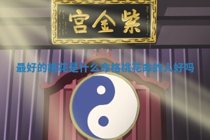 最好的 📙 桃花是什么命格_桃花命的人 🎵 好吗