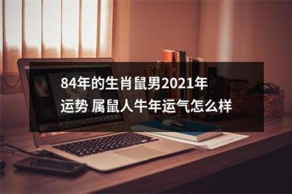 2021属鼠的人运气_2021年属鼠人士运势解析