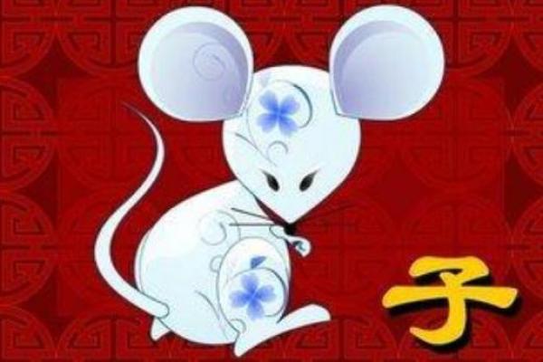 生肖鼠遇虎怎么样_生肖鼠与虎相冲情形解析