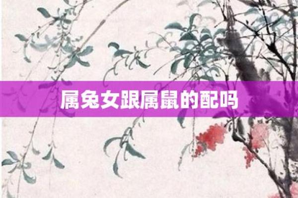生肖龙天蝎座女和属鼠男_生肖龙天蝎女与属鼠男的爱情匹配分析