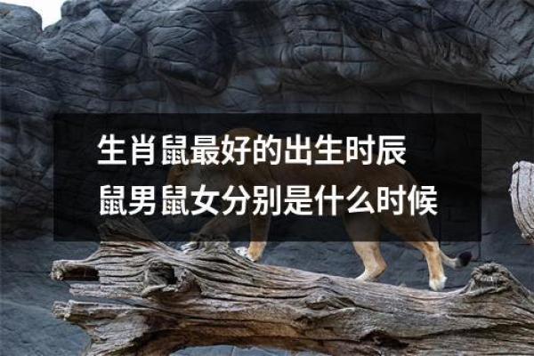 生肖龙天蝎座女和属鼠男_生肖龙天蝎女与属鼠男的爱情匹配分析
