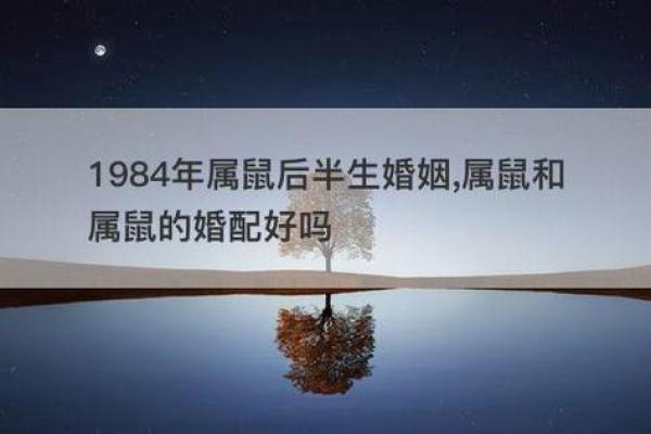 属马的和属鼠的婚配相配吗（属马的与属鼠的婚姻匹配度分析）