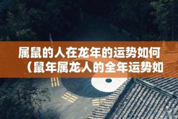 属鼠的人与属龙的_鼠年和龙年生肖的人际关系解析