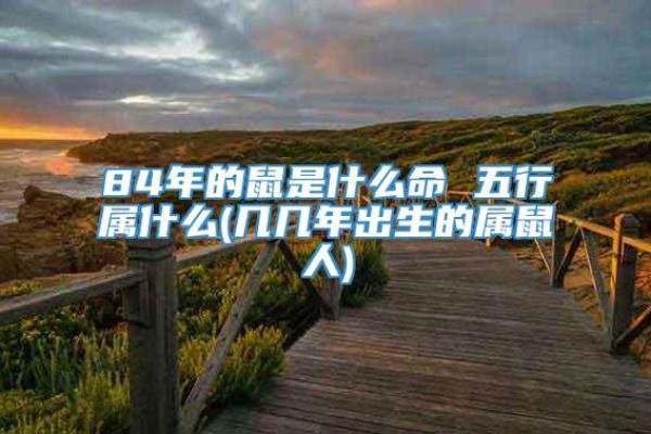 属鼠的人与属龙的_鼠年和龙年生肖的人际关系解析