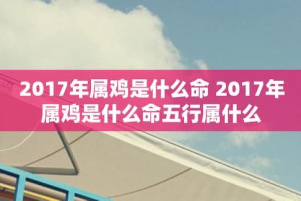 属龙的女人和属鼠男（龙女与鼠男的爱情分析）