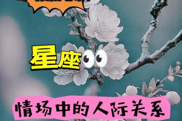 巨蟹座居家程度究竟如何