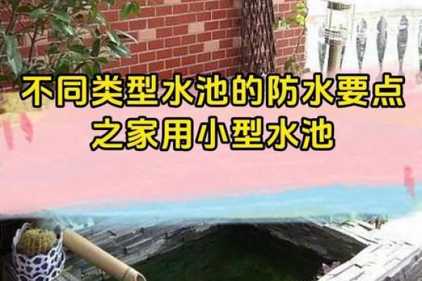 水池