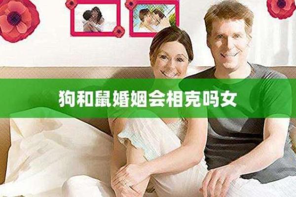 生肖狗女和生肖鼠可以不_生肖狗女性与生肖鼠男士的相配可能性探讨