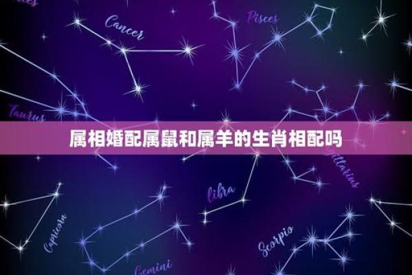 属鼠女找属羊男好吗_属鼠女性与属羊男性匹配度分析