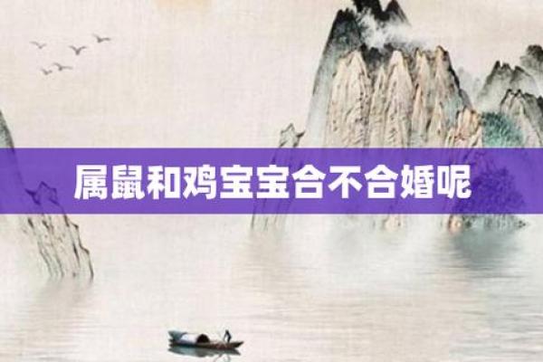属鼠为何戴鸡项链,为何属鼠的人喜欢佩戴鸡形项链