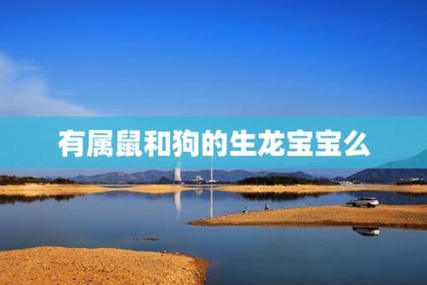 属狗和属鼠的健康_狗年和鼠年生肖健康分析