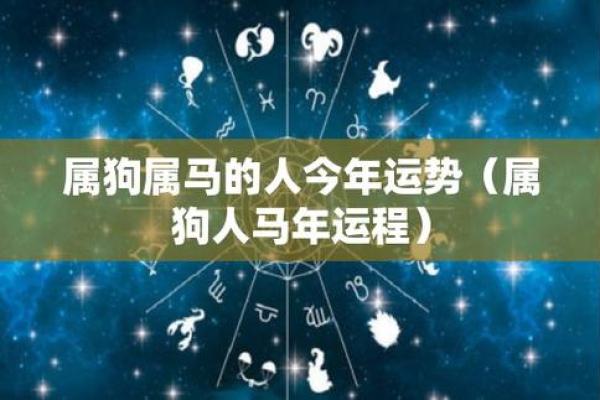 属马和属鼠的财运（马鼠生肖财运解析）