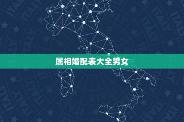属马的可以和属鼠的婚配吗,属马的与属鼠的婚配是否适宜