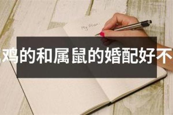 属马的可以和属鼠的婚配吗,属马的与属鼠的婚配是否适宜