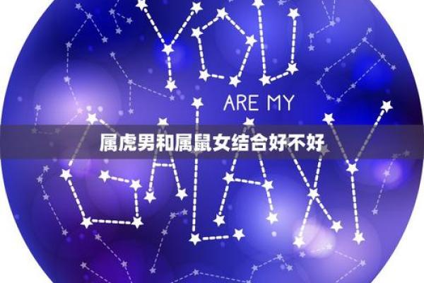 属鼠女属虎男会离婚吗吗_超过