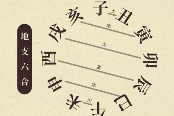 属龙属鼠的住哪个楼层好_生肖龙与生肖鼠适宜居住的楼层选择指南