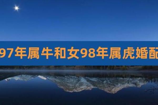 女属虎男属鼠的婚姻配吗_女性属虎男性属鼠婚姻匹配分析