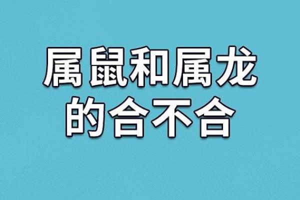 属鼠女会和属猴男离婚吗_属鼠女性与属猴男性婚姻是否面临破裂风险