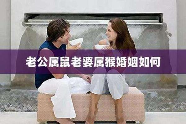 属猴男爱属鼠女概率有多大（猴子男士爱上鼠女士的可能性分析）