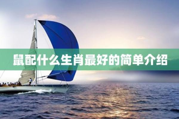 生肖鼠与龙好不好_生肖鼠与龙相配分析