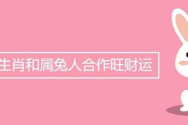 属鼠与属龙工作合作（鼠龙属相职场搭档合作解析）