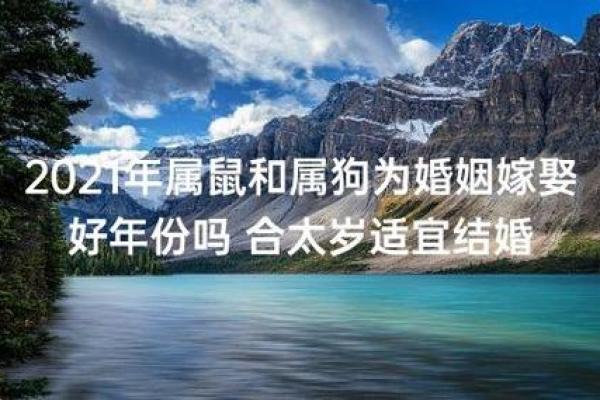 属狗的相配吗属鼠的,超过