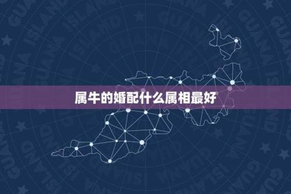 属鼠女和属牛男婚配如何_鼠女牛男婚姻匹配分析
