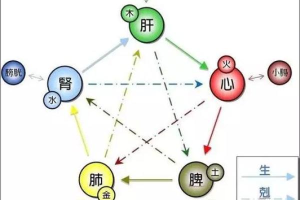 炉中火命和大林木命在一起好吗_炉火命与大林木命搭配如何