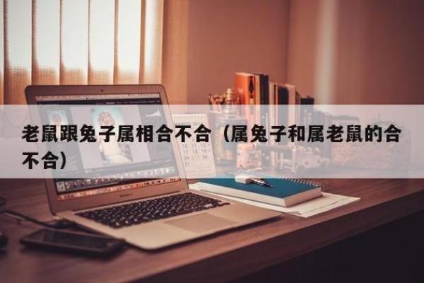 女属兔跟男属鼠的配吗,女兔男鼠的匹配分析