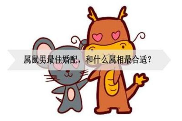 生肖鼠男和生肖兔能婚配吗_生肖鼠男与生肖兔女婚姻匹配分析