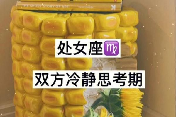 处女座付出过多后会选择离开吗