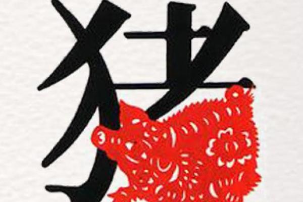 属猪的本命年应该注意什么，如何化解本命年危害