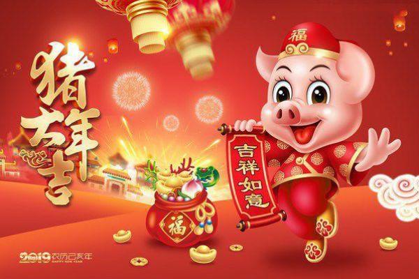 属猪的本命年应该注意什么，如何化解本命年危害