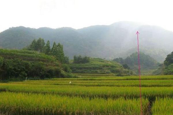 山陵墓葬密度与风水吉凶探究