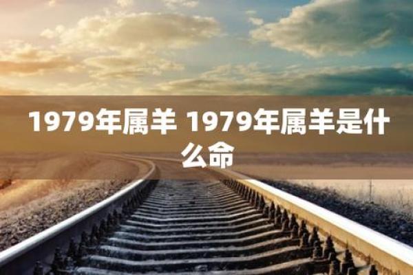 男属羊和女属鼠的结婚_男性羊年和女性鼠年的婚姻结合