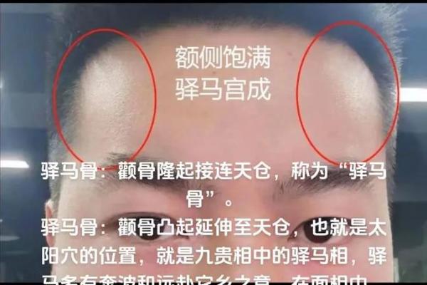 命里有驿马的女人聪明_命中带驿马的女性智慧非凡