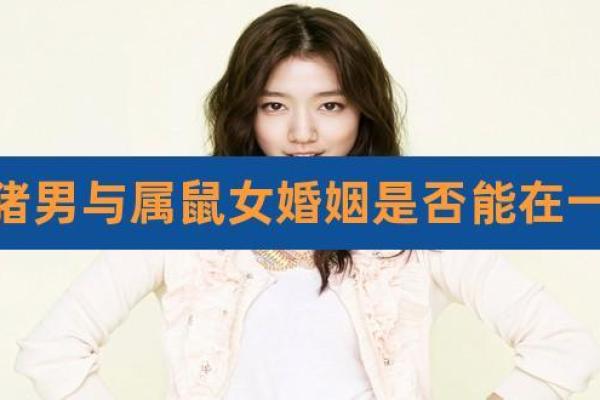 属鼠男和属马女能做夫妻吗（探究属鼠男与属马女的婚姻可能性）