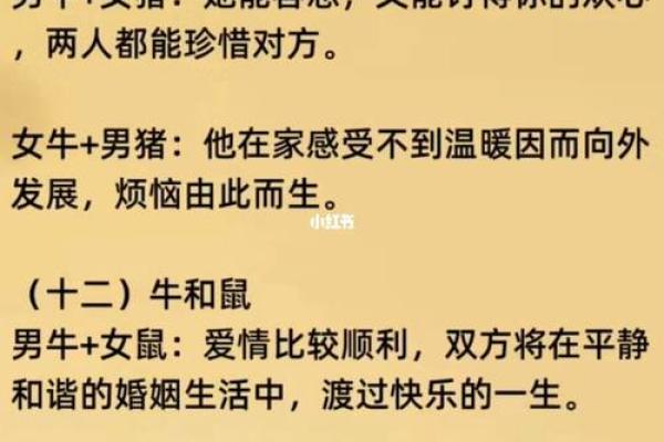 属鼠与属虎的婚姻配吗_探究属鼠和属虎的婚姻匹配度