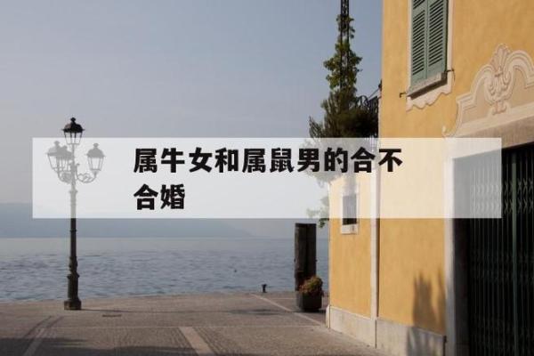 属狗女和属鼠男孩子属牛（狗女与鼠男结合牛年之缘）