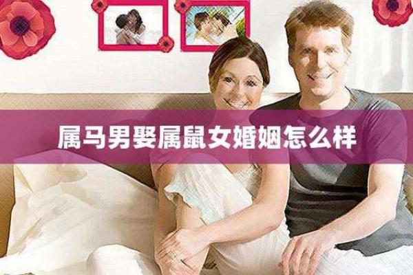 有属鼠的和属马的结婚没（探讨属鼠与属马的婚姻搭配情况）