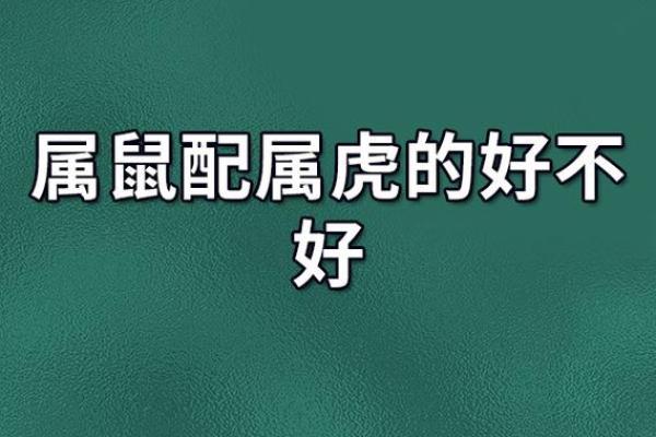 属鼠女如何追属虎男（如何吸引属虎男-属鼠女的追求策略）