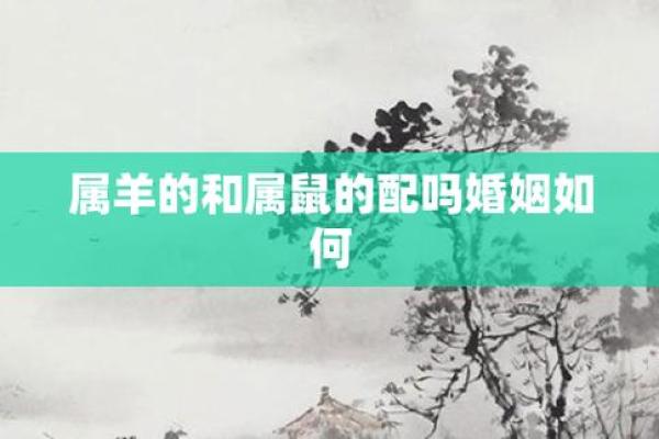 男属羊和女属鼠的姻缘怎样（男性属羊与女性属鼠婚姻缘分解析）