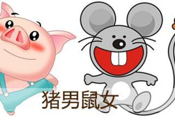 女属鼠男属猴的合不合_女性鼠年与男性猴年生肖配对分析