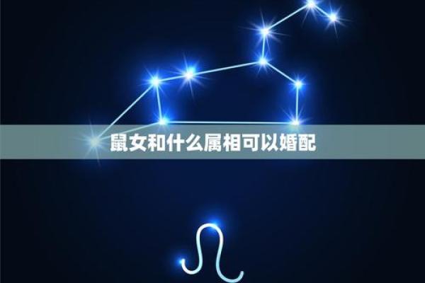 女属鼠男属猴的合不合_女性鼠年与男性猴年生肖配对分析