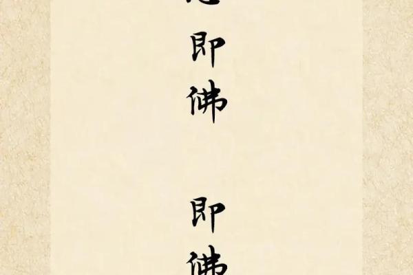 额头狭窄标准图片解析 洞察事物深度