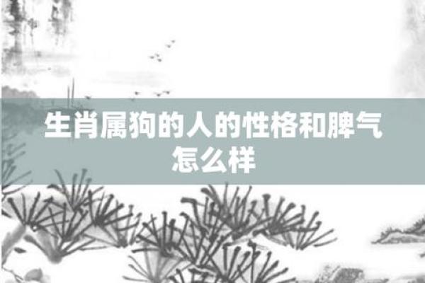 属狗和属鼠的婚姻（狗年和鼠年的婚姻匹配分析）