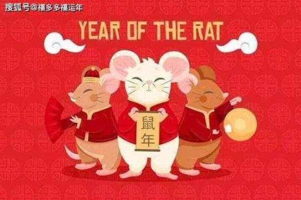 属鼠与属虎合不合_鼠年和虎年相配分析